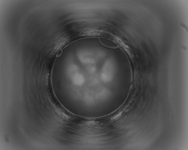 X0000093220153200710031446