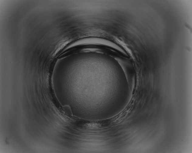 X0000093220154200710031446