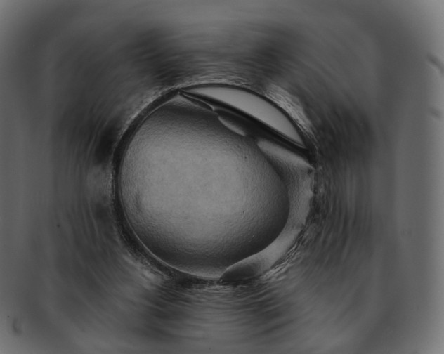 X0000093220156200710031446