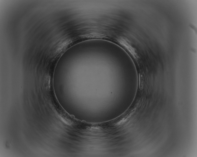 X0000093220157200710031446