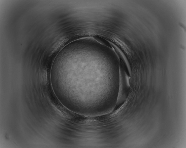 X0000093220158200710031446