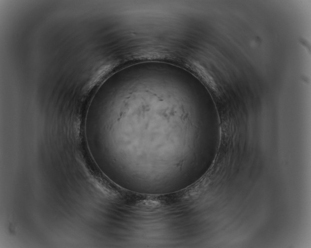 X0000093220159200710031446