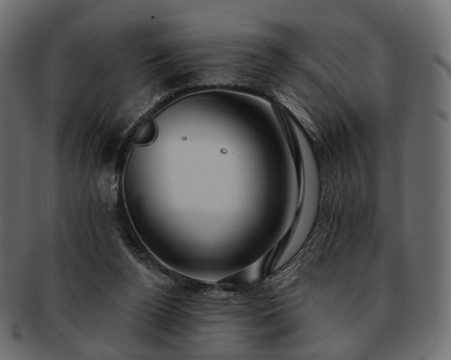 X0000093220160200710031446