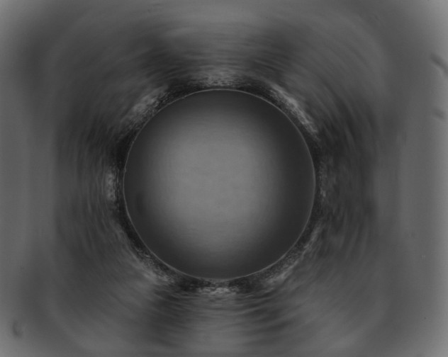 X0000093220161200710031446