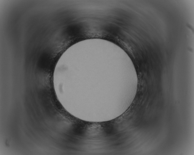 X0000093220162200710031446