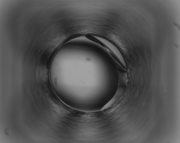 X0000093220164200710031446