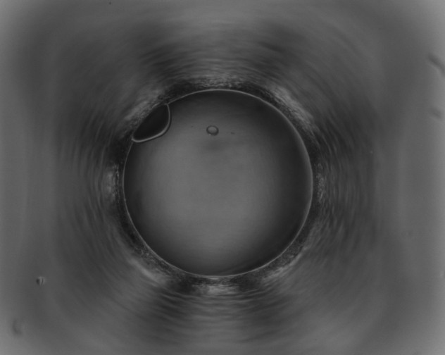 X0000093220165200710031446