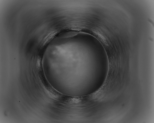 X0000093220166200710031446