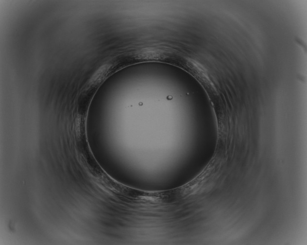 X0000093220167200710031446