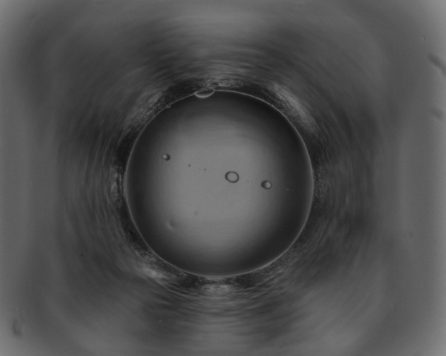 X0000093220169200710031446