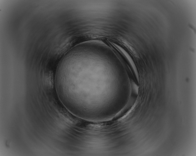 X0000093220170200710031446