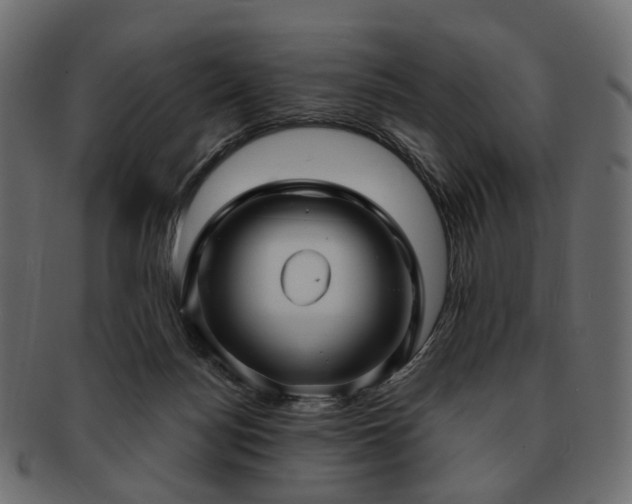 X0000093220172200710031446