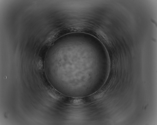 X0000093220173200710031446