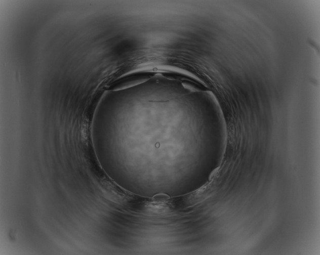 X0000093220175200710031446