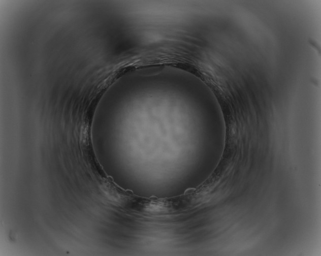 X0000093220177200710031446