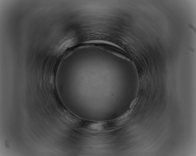 X0000093220178200710031446