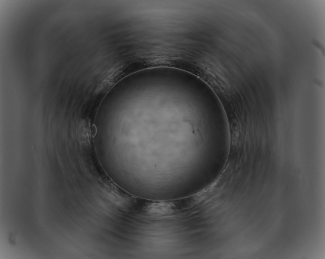 X0000093220179200710031446