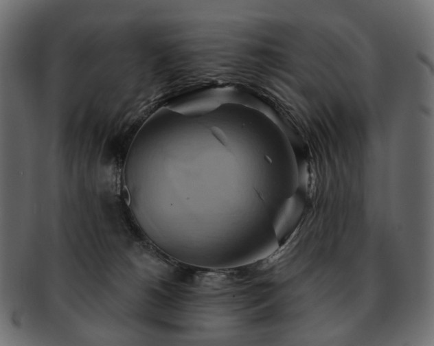 X0000093220180200710031446