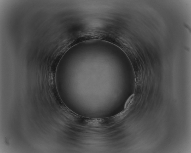 X0000093220182200710031446