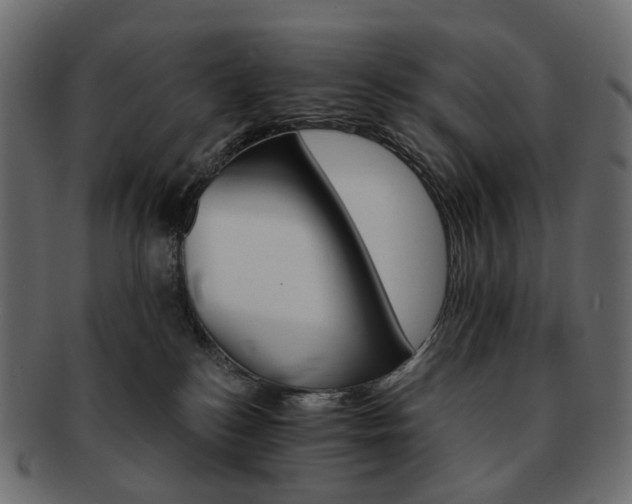 X0000093220184200710031446