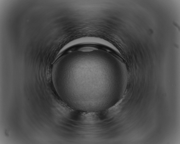 X0000093220186200710031446