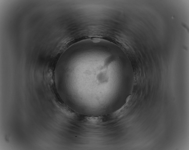 X0000093220187200710031446