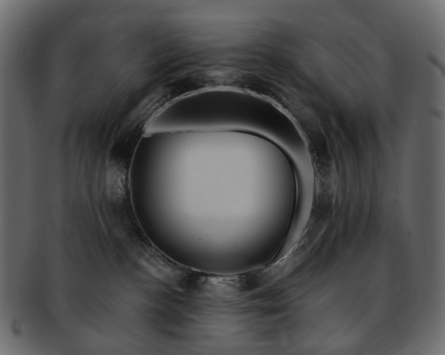 X0000093220188200710031446