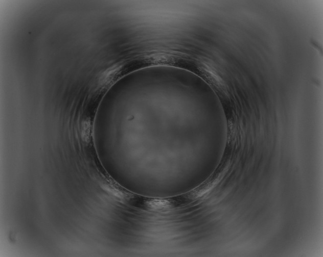 X0000093220189200710031446