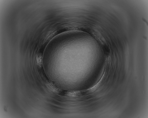 X0000093220190200710031446