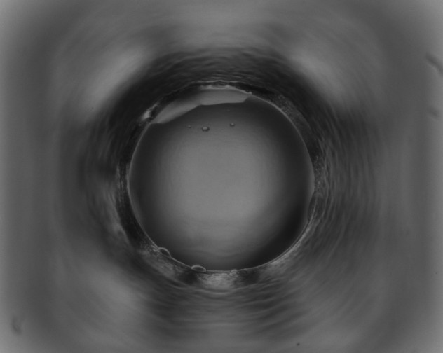 X0000093220191200710031446