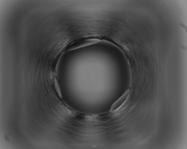 X0000093220192200710031446