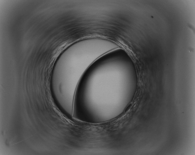 X0000093220193200710031446