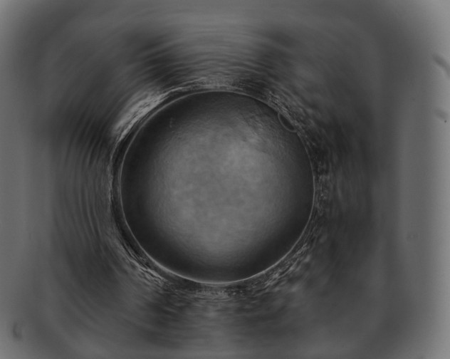 X0000093220194200710031446