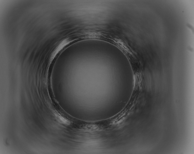 X0000093220195200710031446