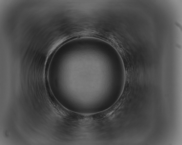 X0000093220196200710031446