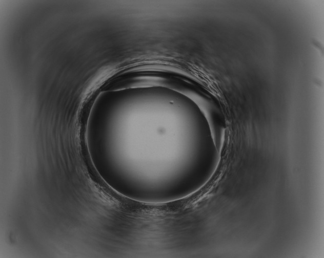 X0000093220197200710031446