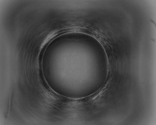 X0000093220198200710031446