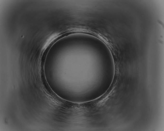 X0000093220199200710031446