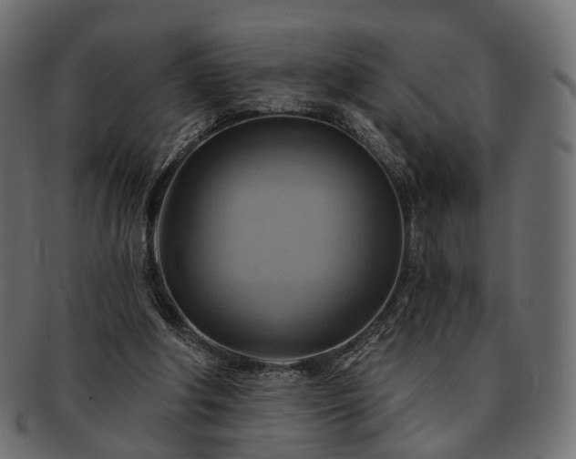 X0000093220202200710031446