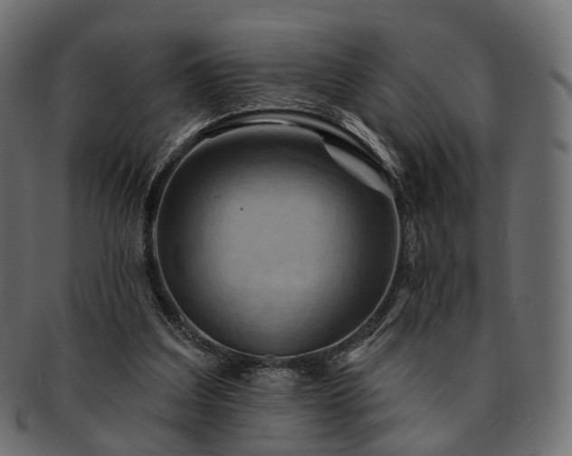 X0000093220203200710031446