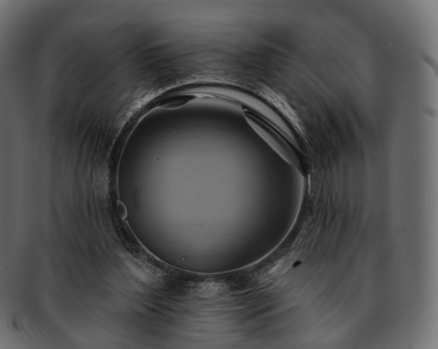 X0000093220204200710031446