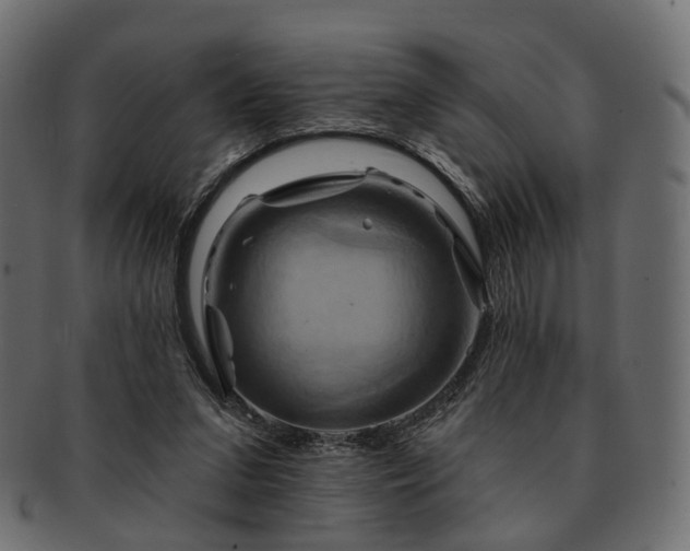 X0000093220207200710031446