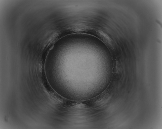 X0000093220210200710031445