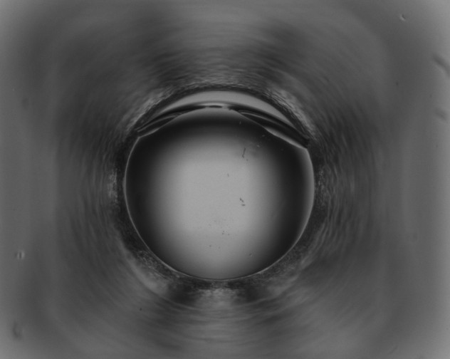 X0000093220212200710031445