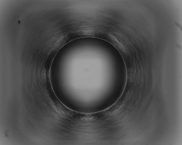 X0000093220213200710031445