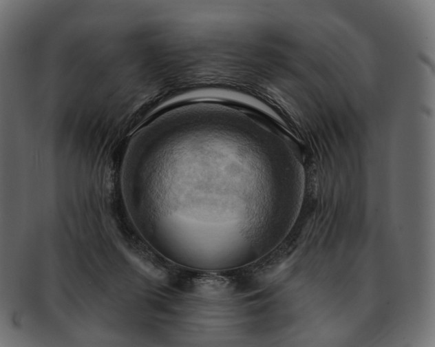 X0000093220215200710031445