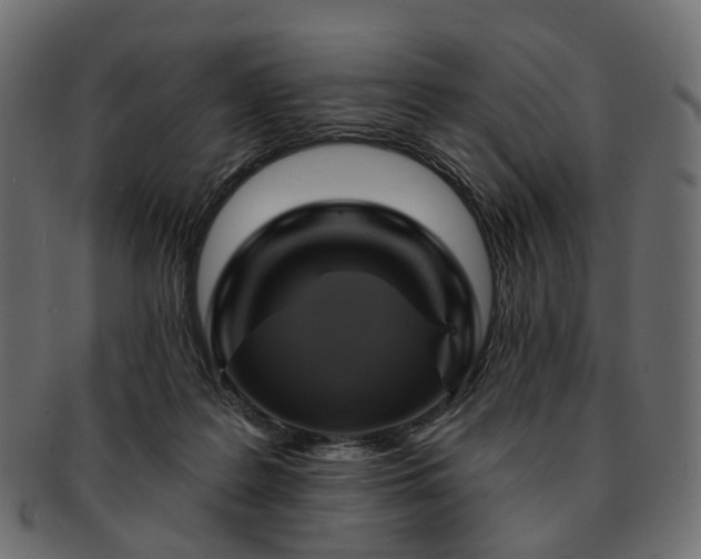 X0000093220219200710031445