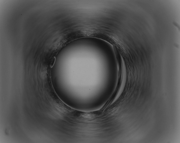 X0000093220221200710031445