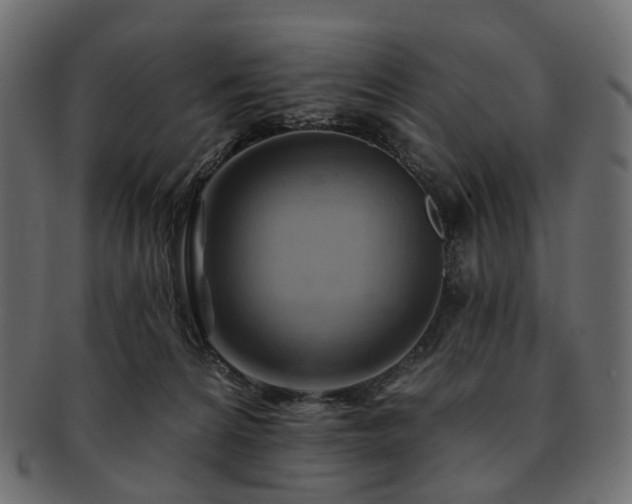 X0000093220224200710031445