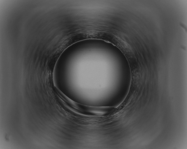 X0000093220225200710031445